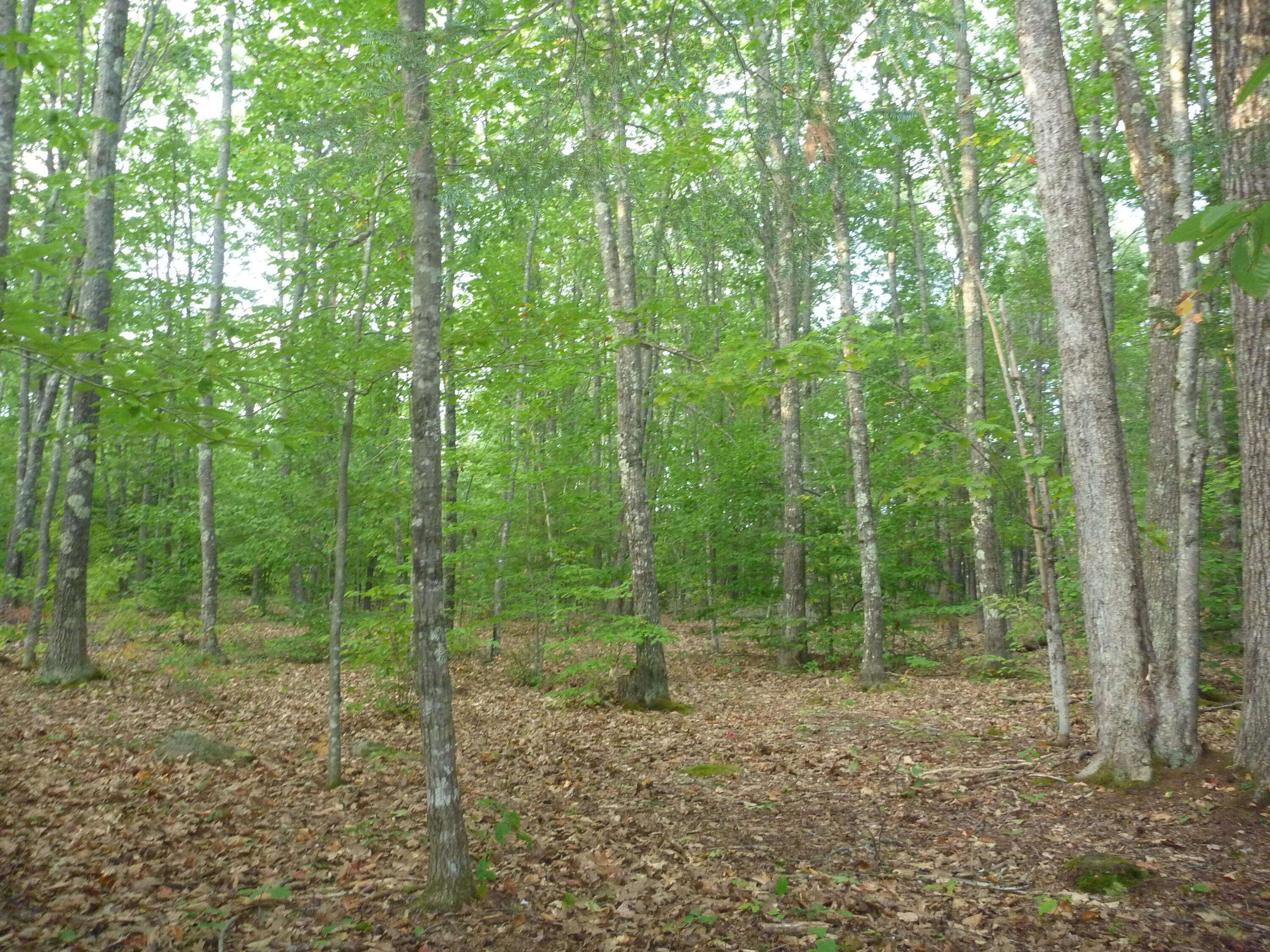 48A Blueberry Road Waterboro ME 04087
