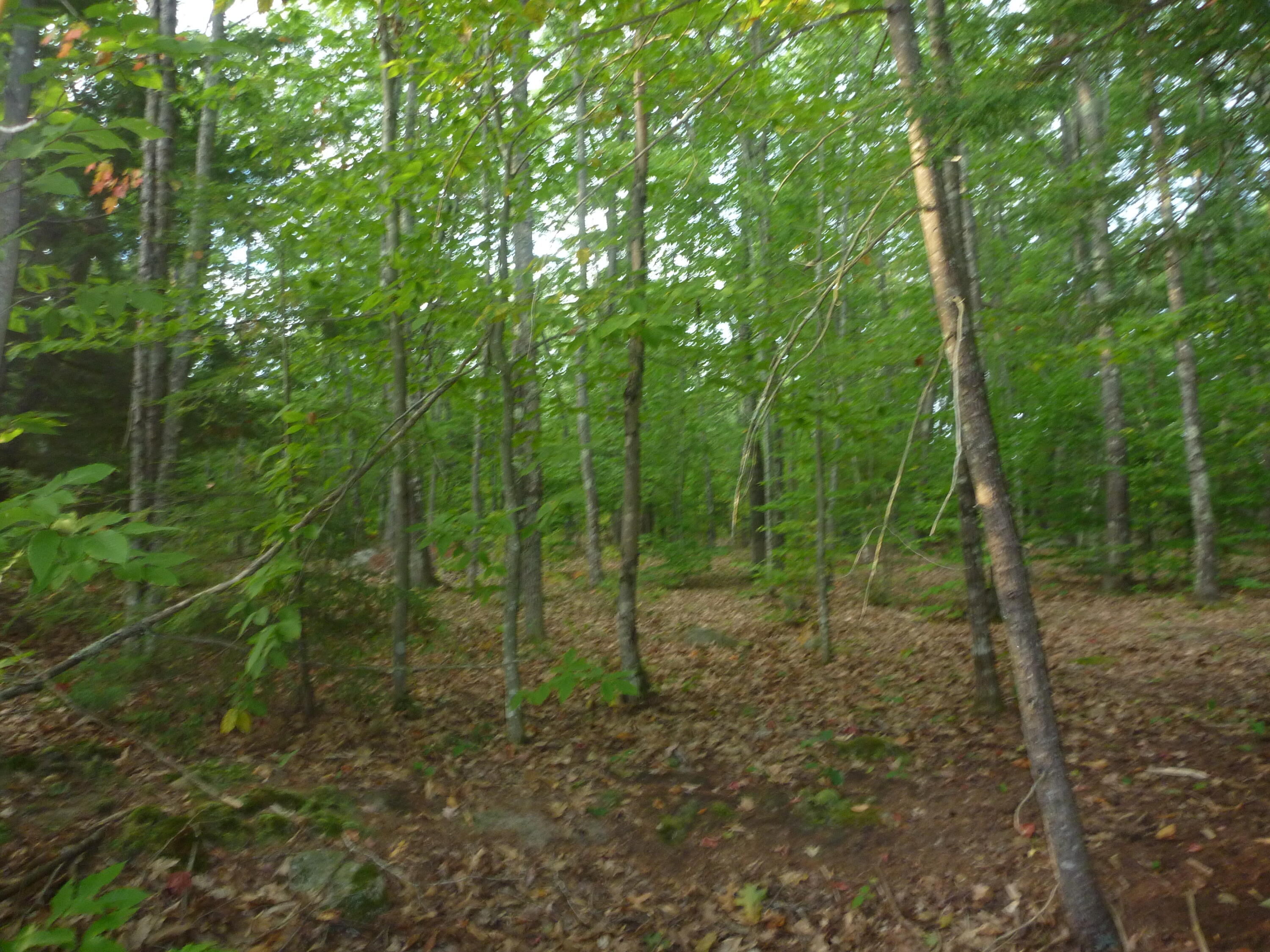 48A Blueberry Road Waterboro ME 04087