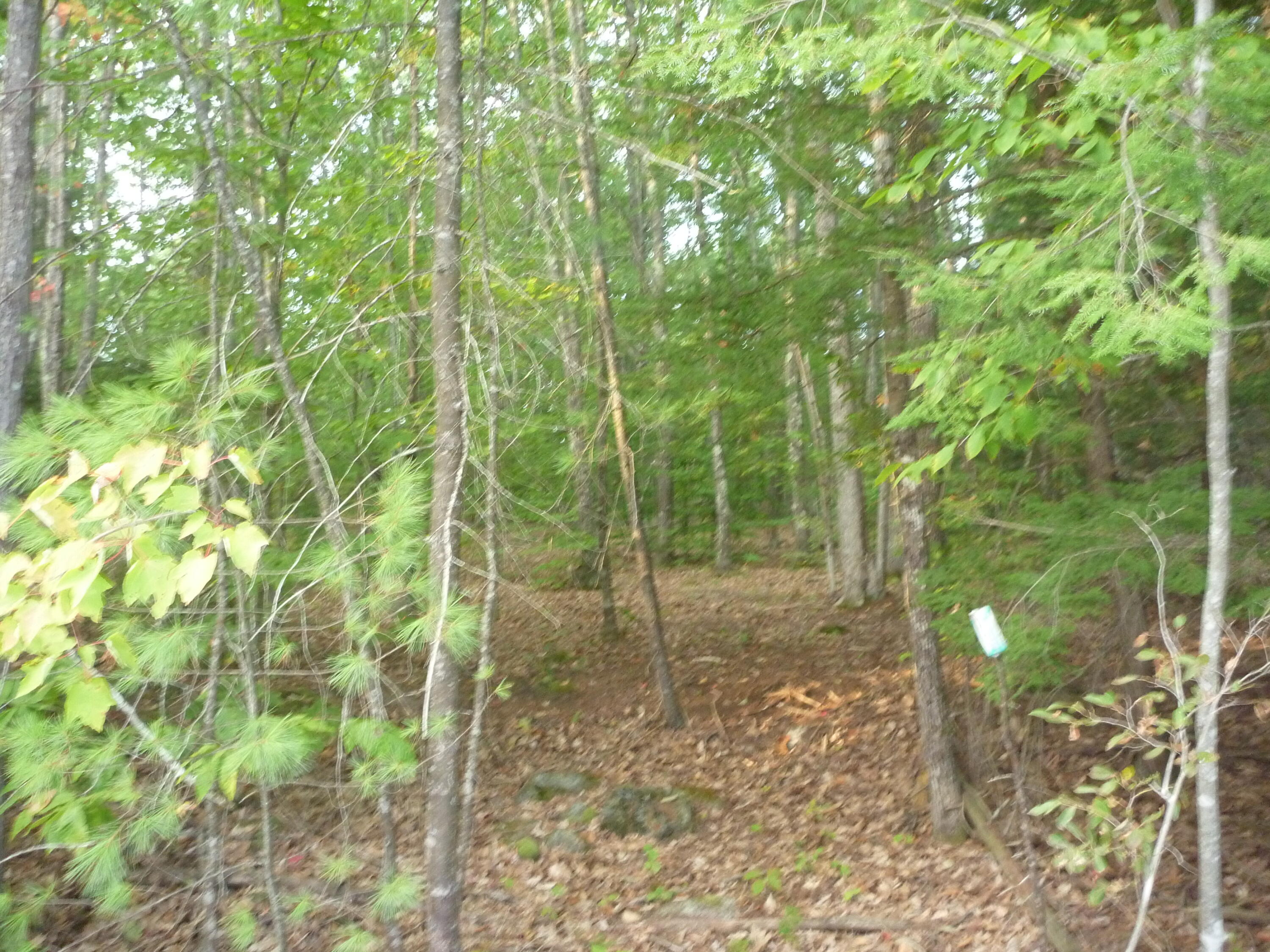 48A Blueberry Road Waterboro ME 04087