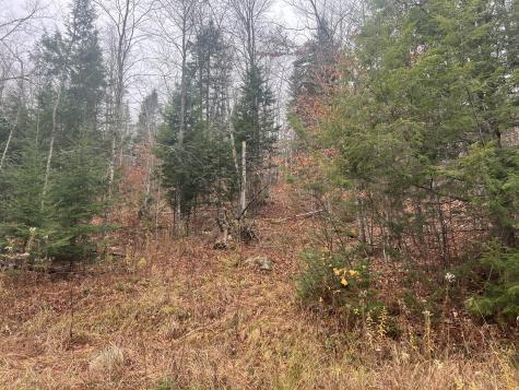 Lot 1 & 2 Thistle Street Upton ME 04261