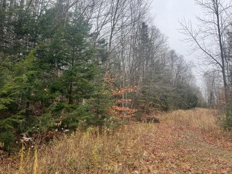 Lot 1 & 2 Thistle Street Upton ME 04261