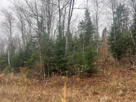 Lot 1 & 2 Thistle Street Upton ME 04261