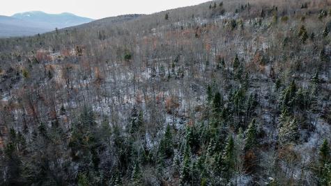 Lot 1 & 2 Thistle Street Upton ME 04261