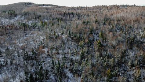 Lot 1 & 2 Thistle Street Upton ME 04261