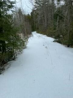 Map34 Lot6 Western County Road Blue Hill ME 04614