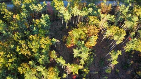 Lot 16 (1) Whittier Road Farmington ME 04938