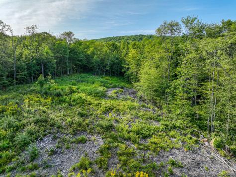 0 Swain Road Rumford ME 04276