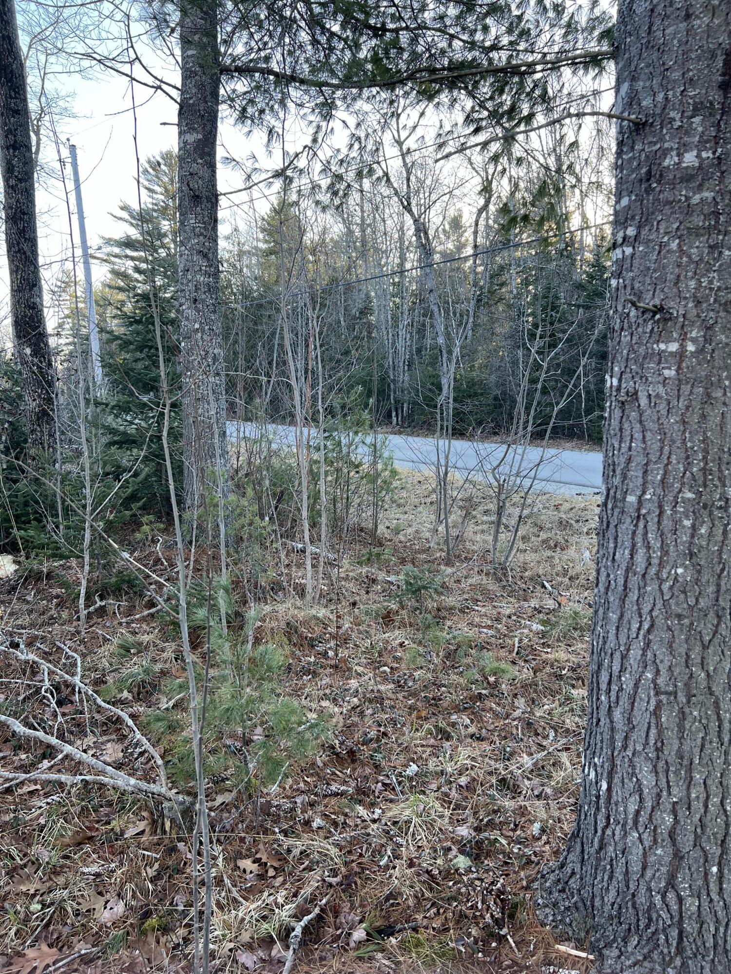 Lt#27-1-2 Chemo Pond Road Eddington ME 04428