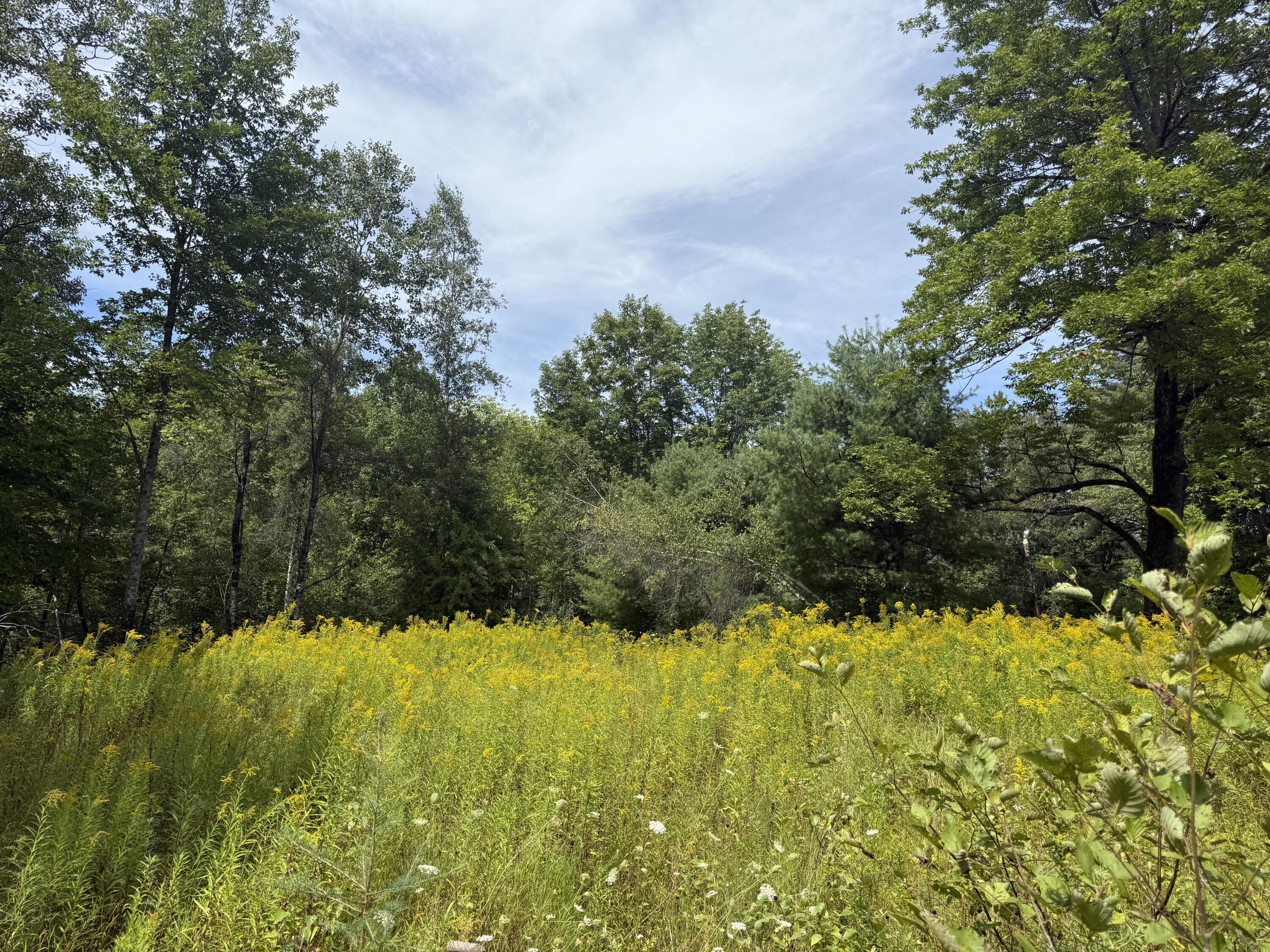 Lot 14 Dead River Road Bowdoin ME 04287