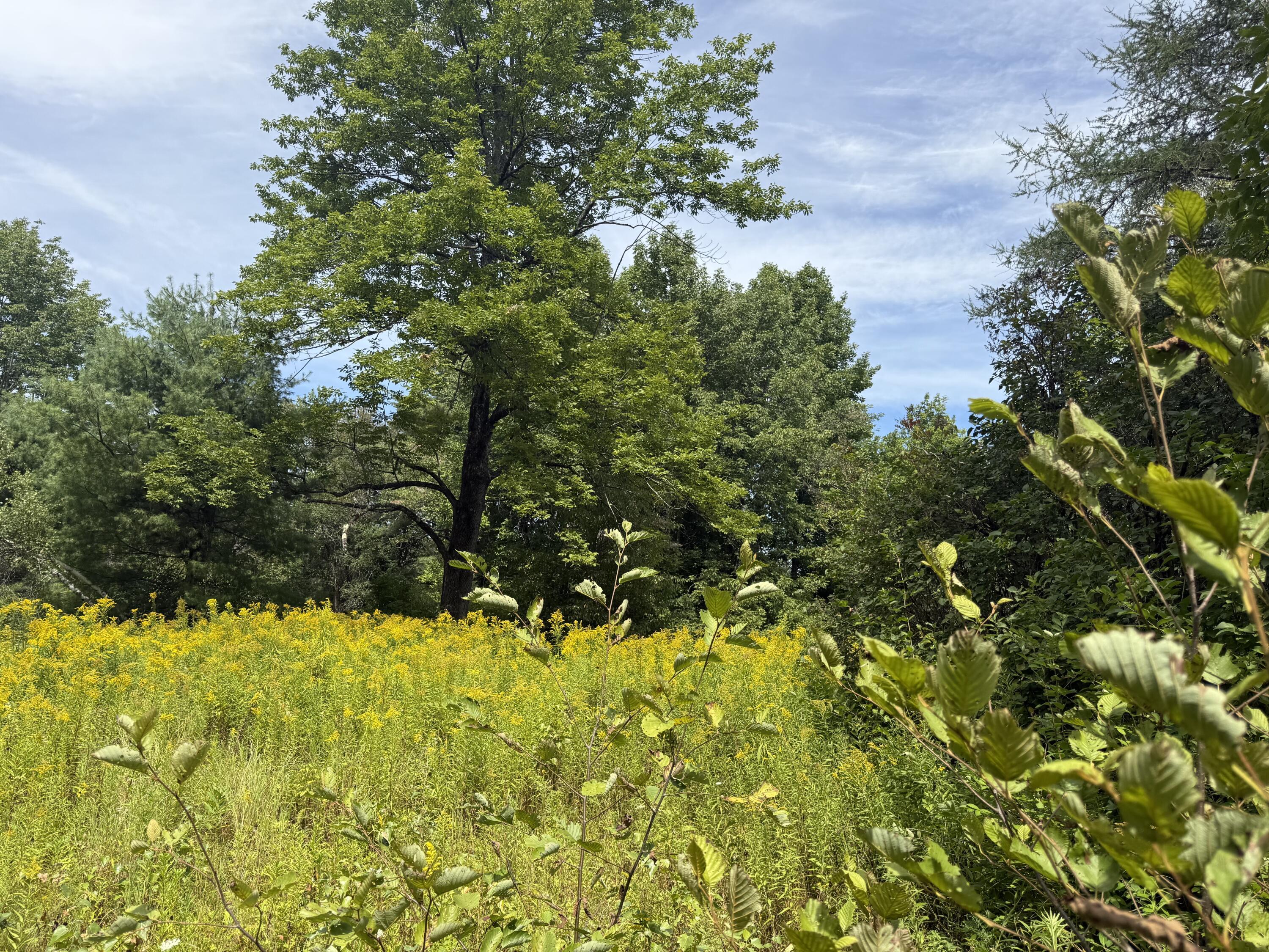 Lot 14 Dead River Road Bowdoin ME 04287