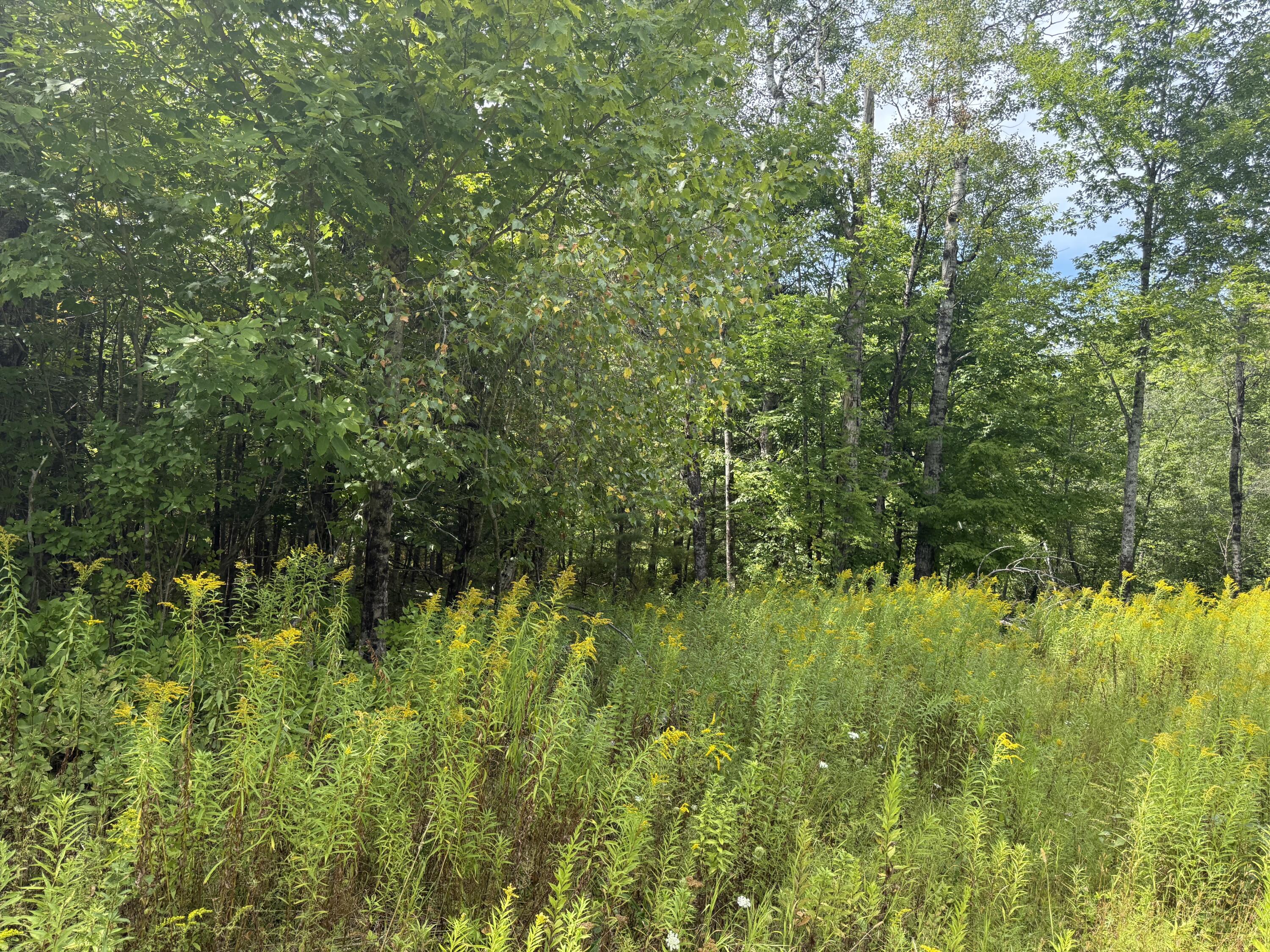 Lot 14 Dead River Road Bowdoin ME 04287