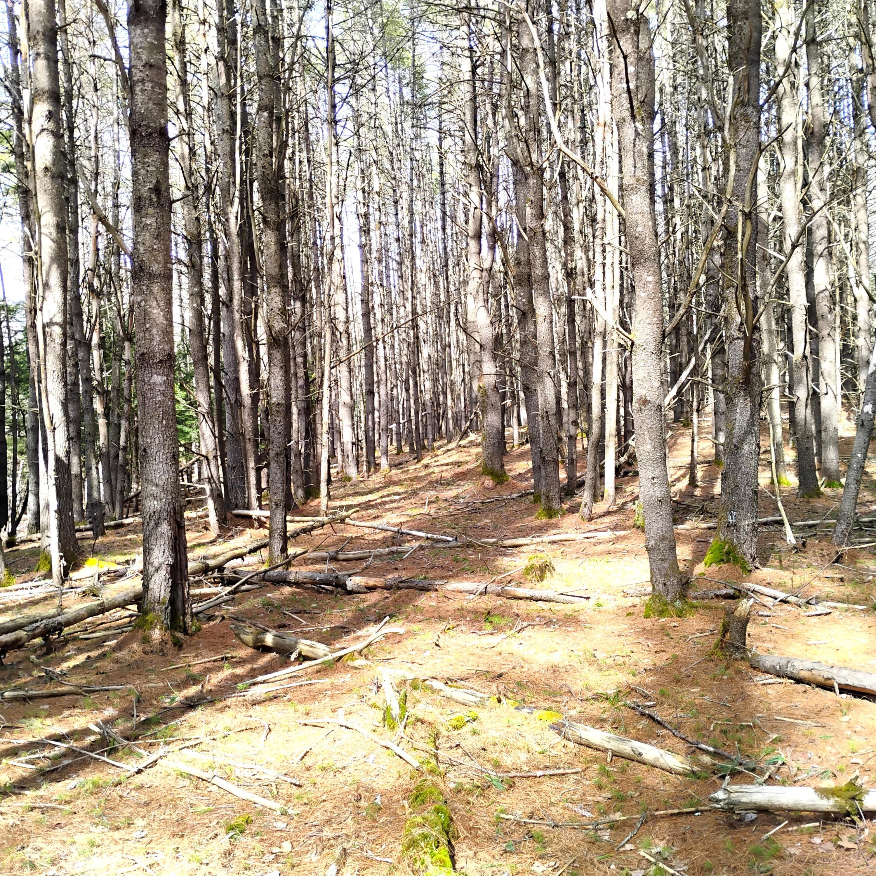Lot 2 Father Rasle Road Norridgewock ME 04957