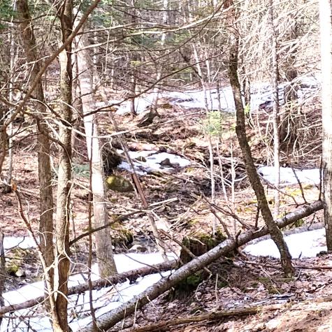 Lot 2 Father Rasle Road Norridgewock ME 04957