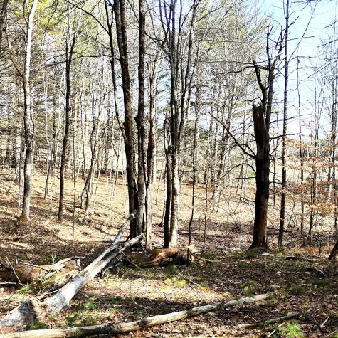 Lot 2 Father Rasle Road Norridgewock ME 04957