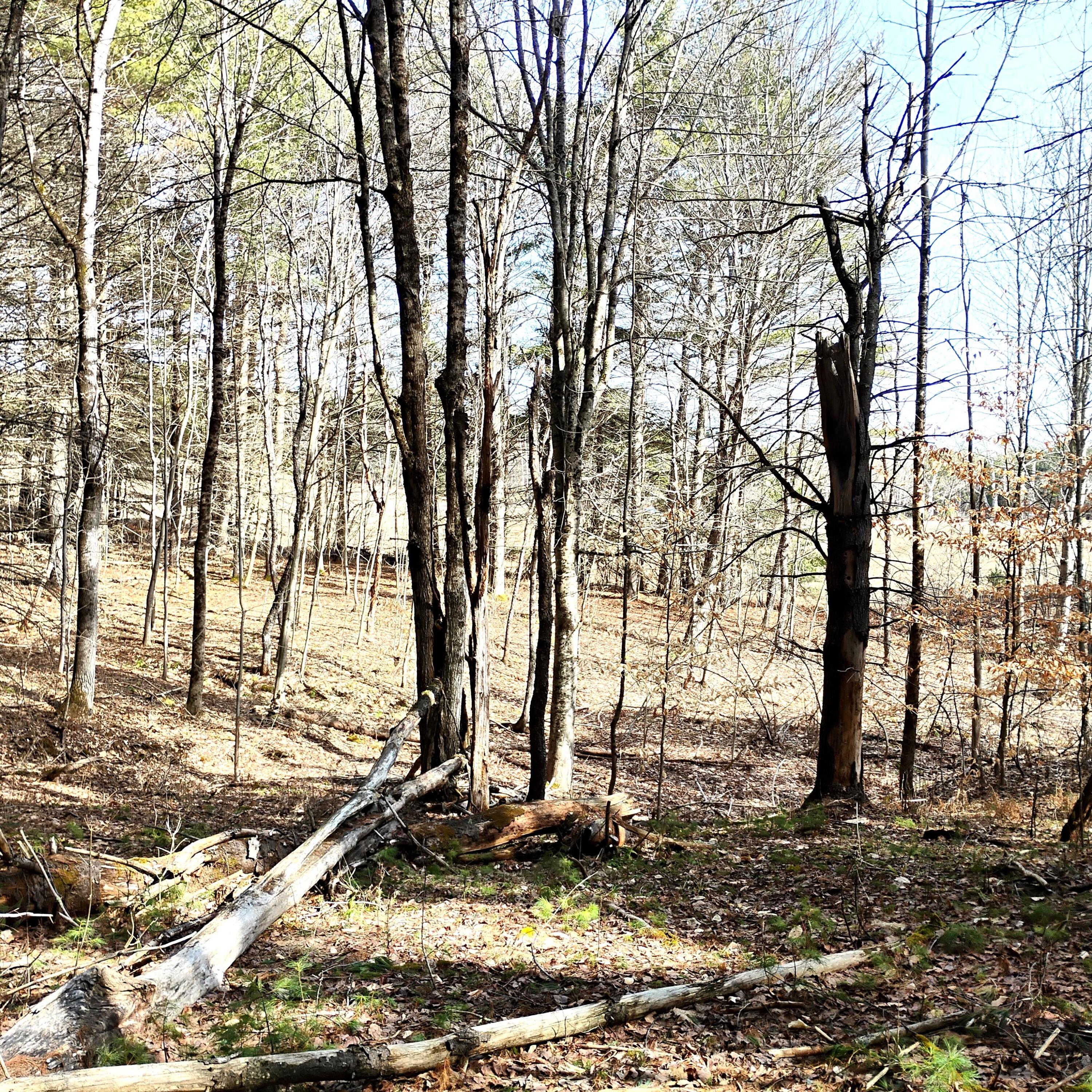 Lot 2 Father Rasle Road Norridgewock ME 04957