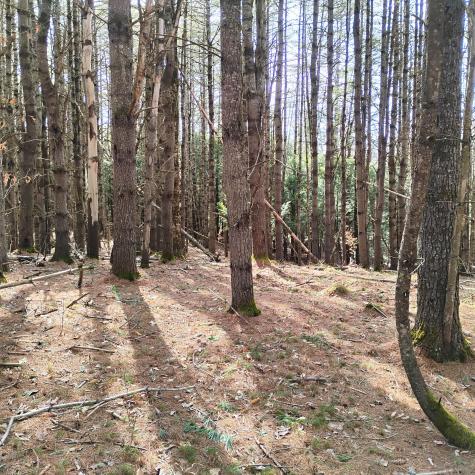 Lot 2 Father Rasle Road Norridgewock ME 04957
