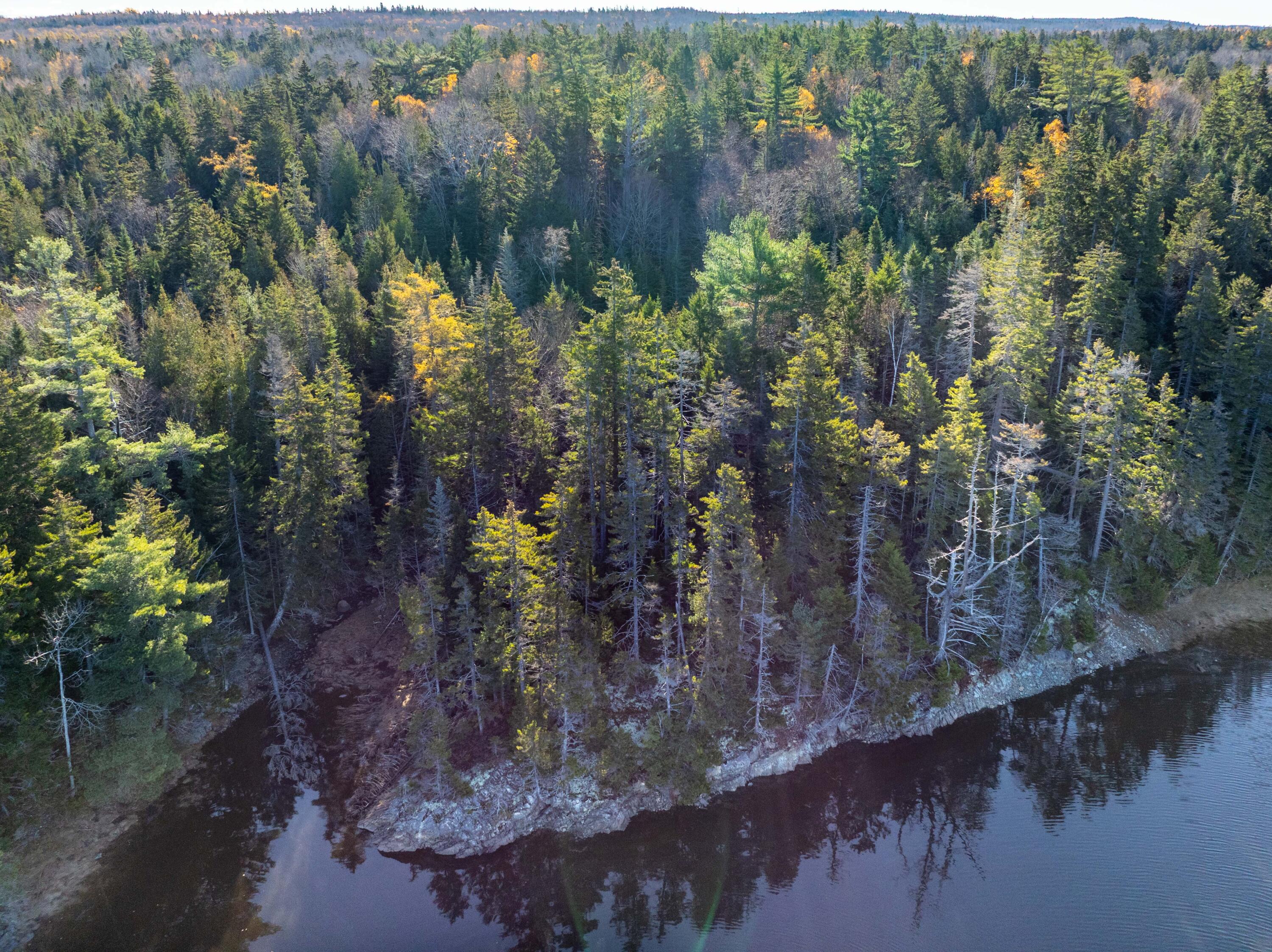 01-4 Wa035 Trescott Twp ME 04652