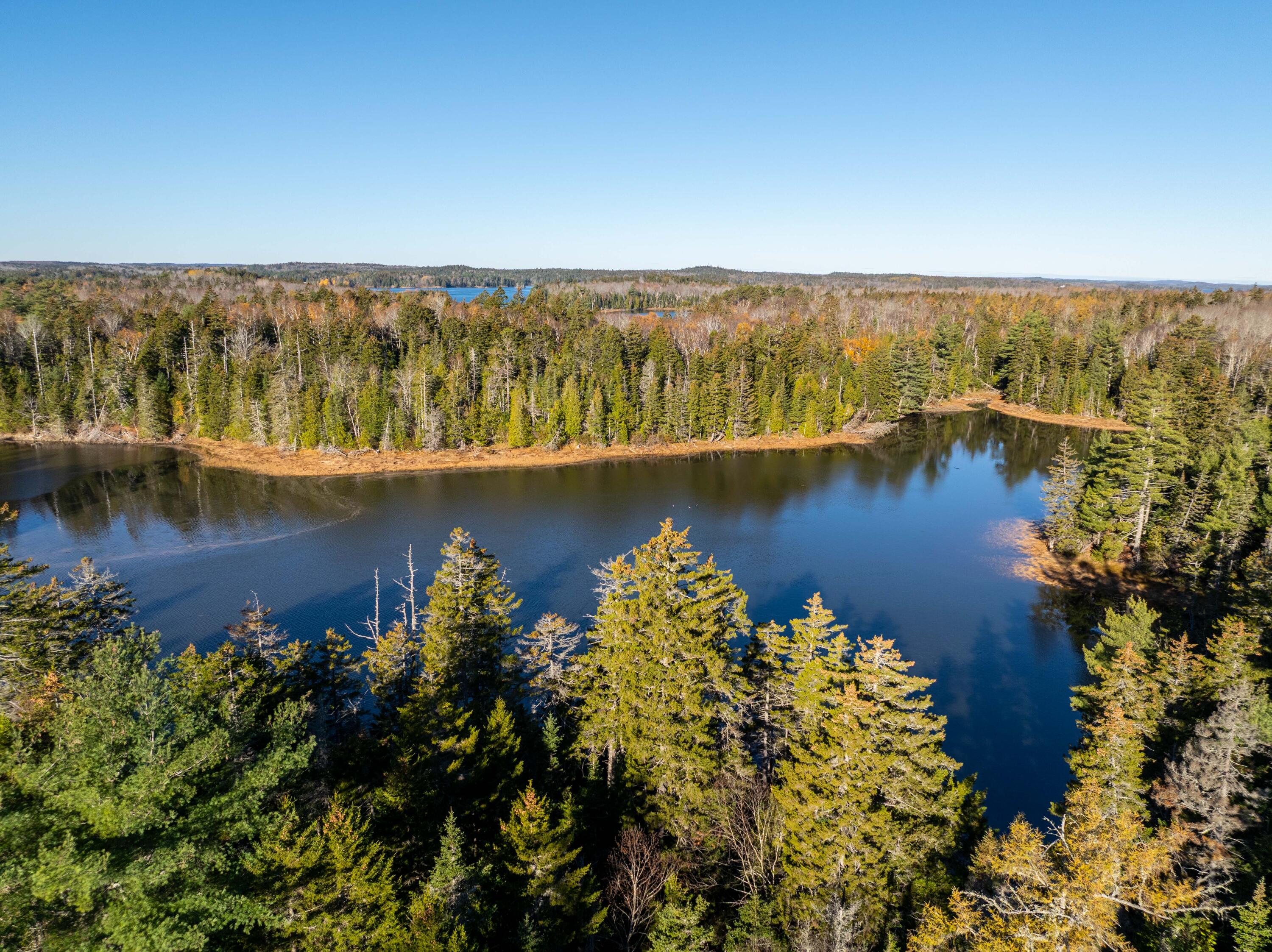 01-4 Wa035 Trescott Twp ME 04652