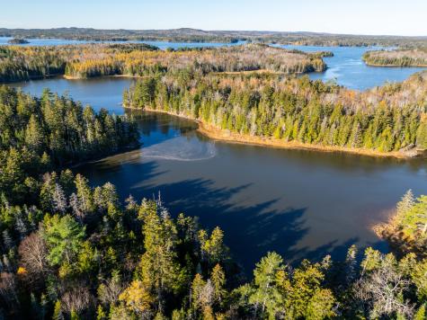 01-4 Wa035 Trescott Twp ME 04652