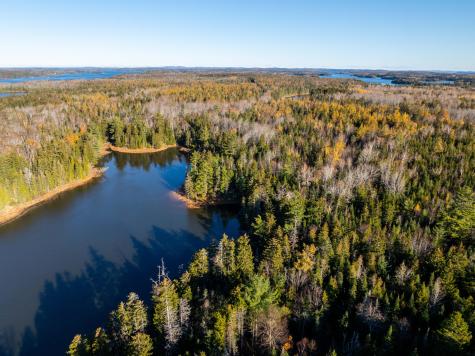 01-4 Wa035 Trescott Twp ME 04652