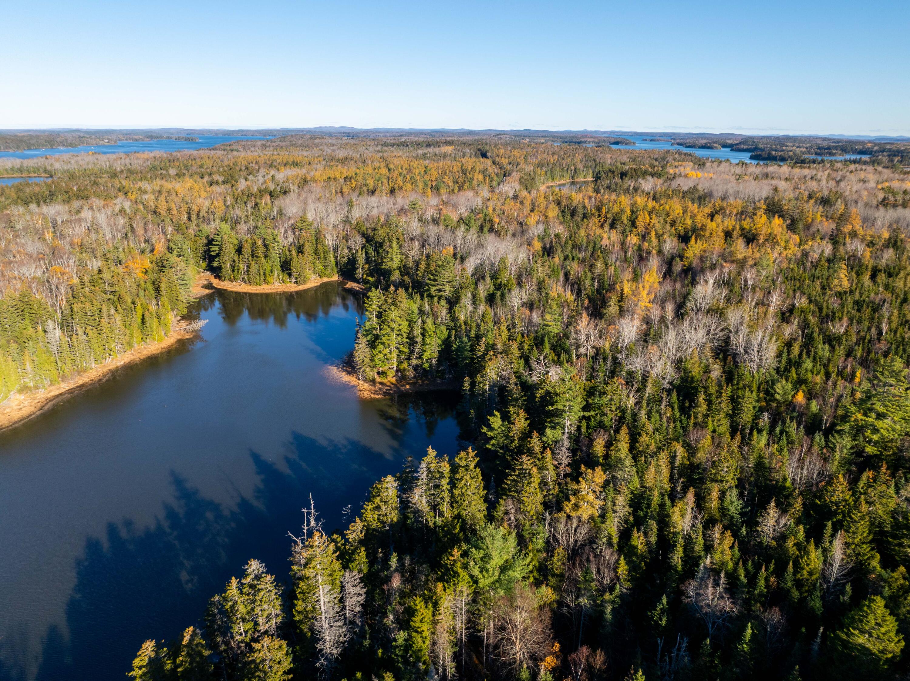 01-4 Wa035 Trescott Twp ME 04652