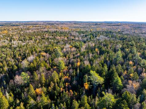 01-4 Wa035 Trescott Twp ME 04652