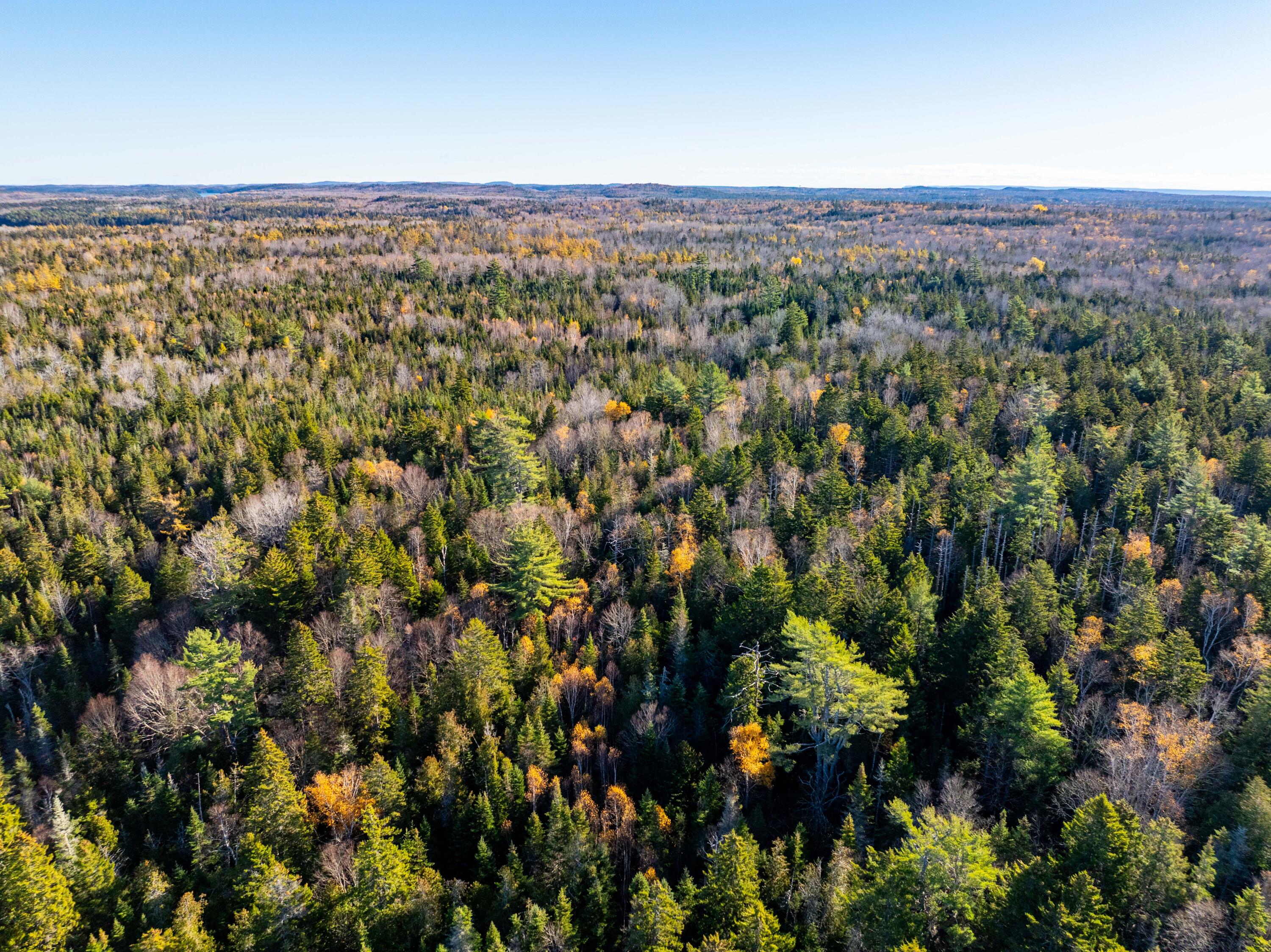 01-4 Wa035 Trescott Twp ME 04652