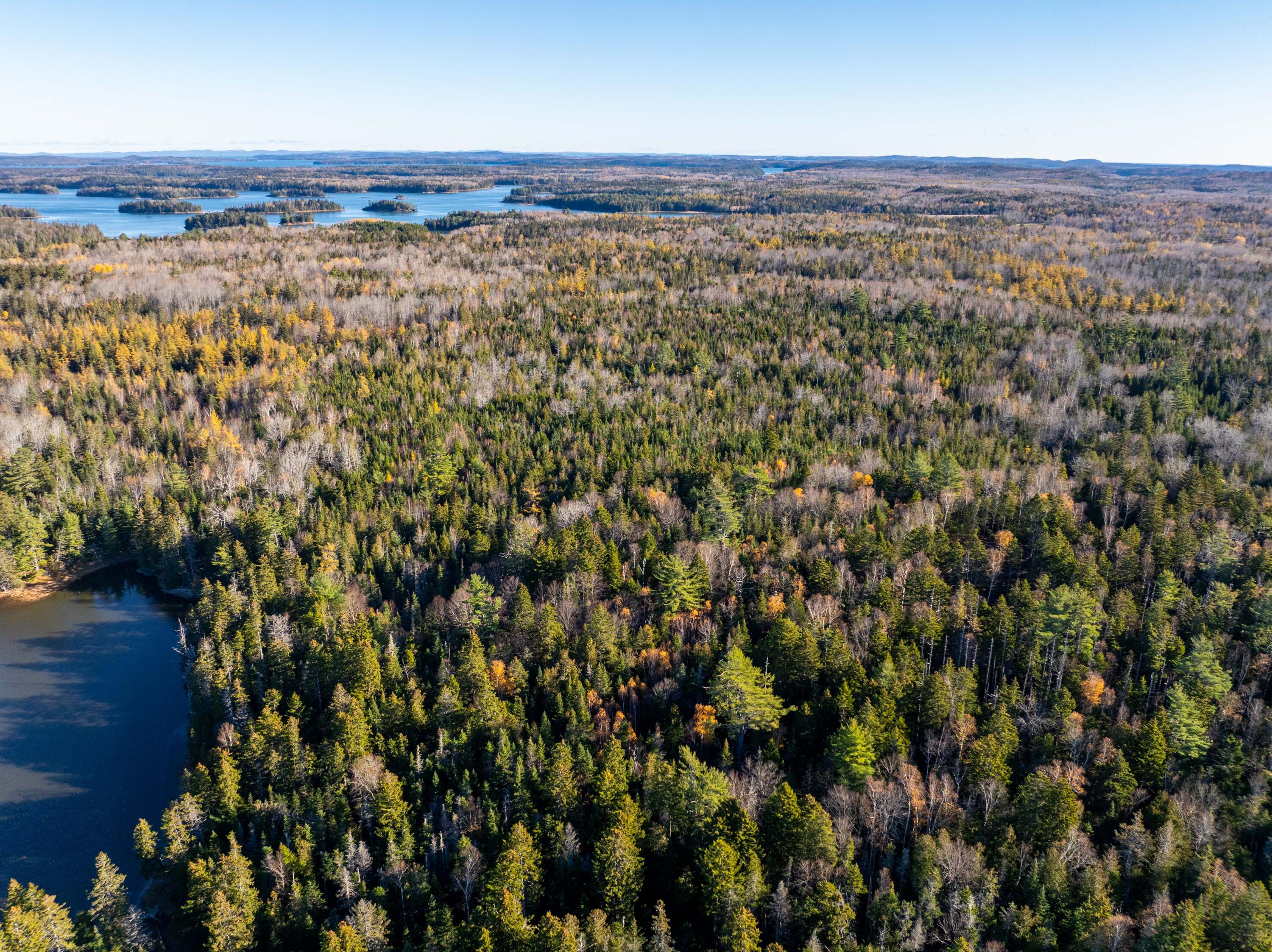 01-4 Wa035 Trescott Twp ME 04652
