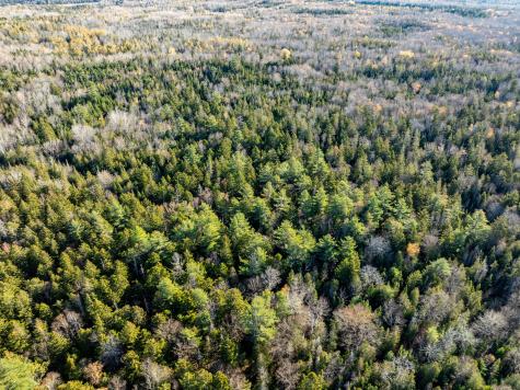 01-4 Wa035 Trescott Twp ME 04652