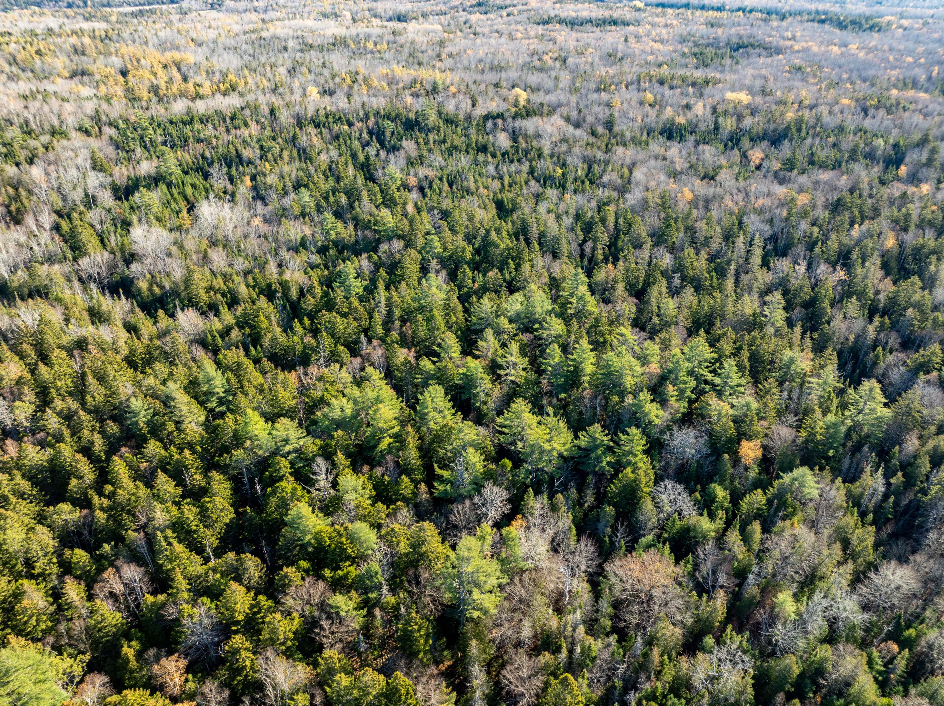01-4 Wa035 Trescott Twp ME 04652