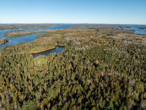 01-4 Wa035 Trescott Twp ME 04652