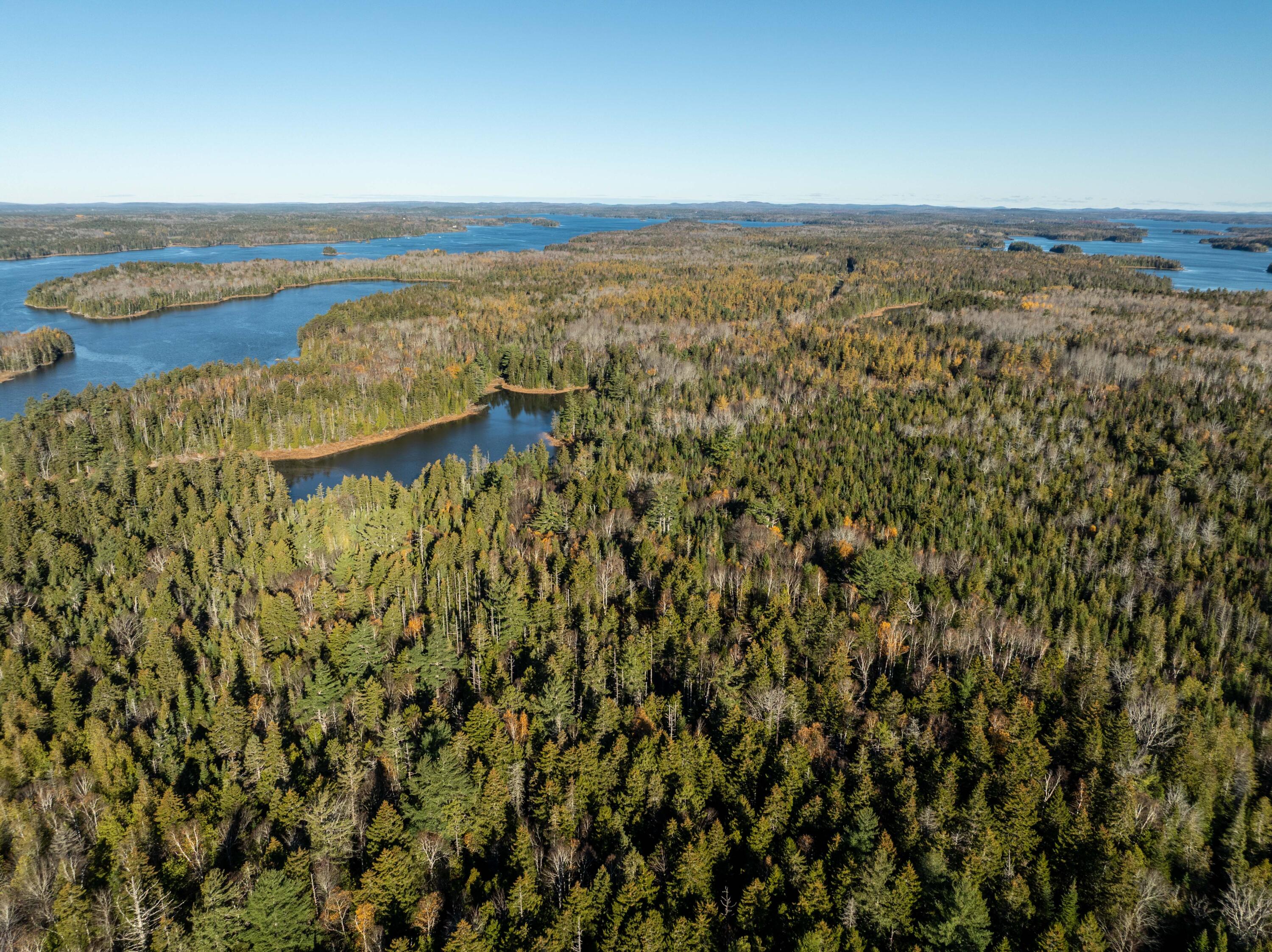 01-4 Wa035 Trescott Twp ME 04652