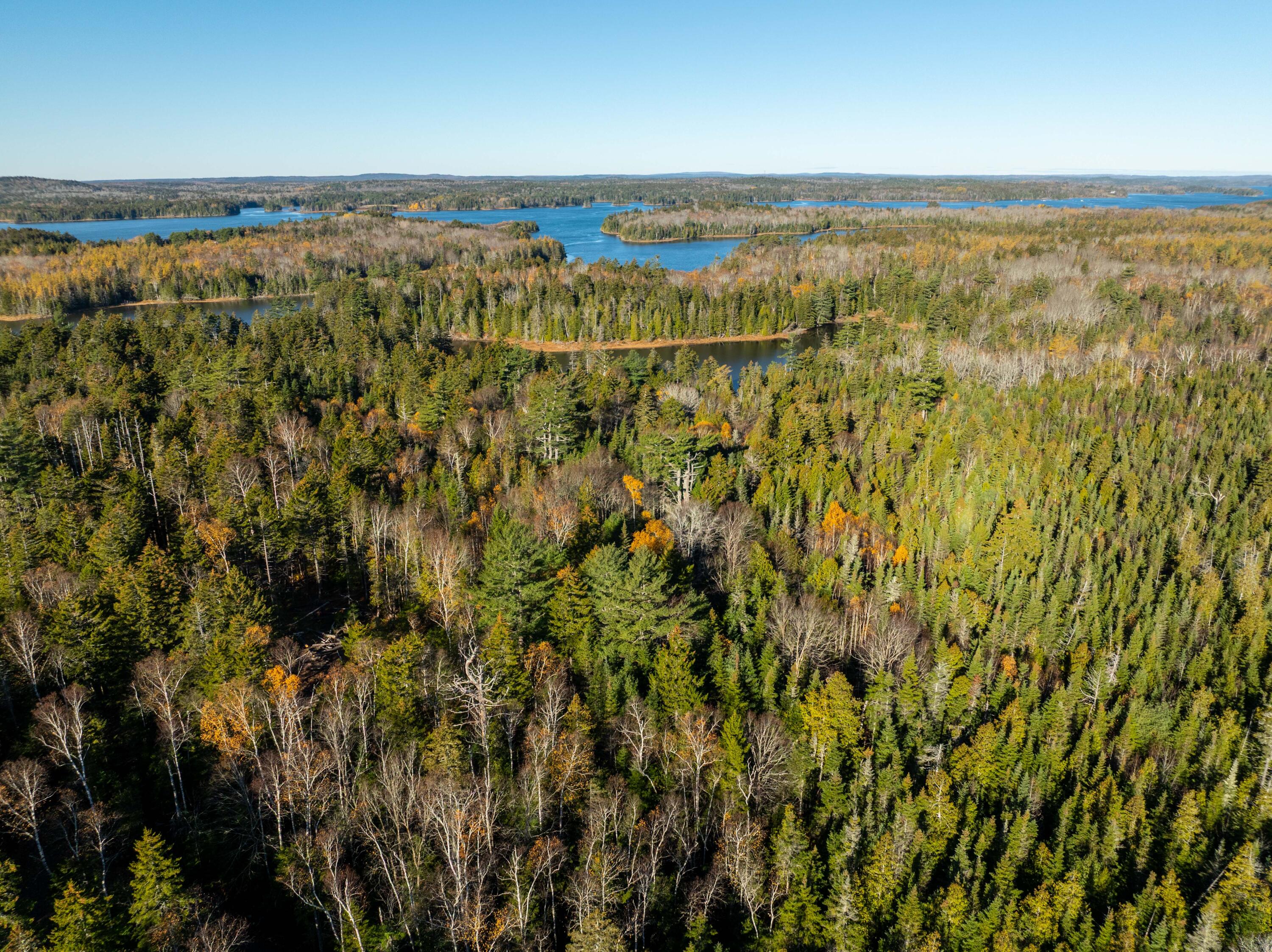 01-4 Wa035 Trescott Twp ME 04652