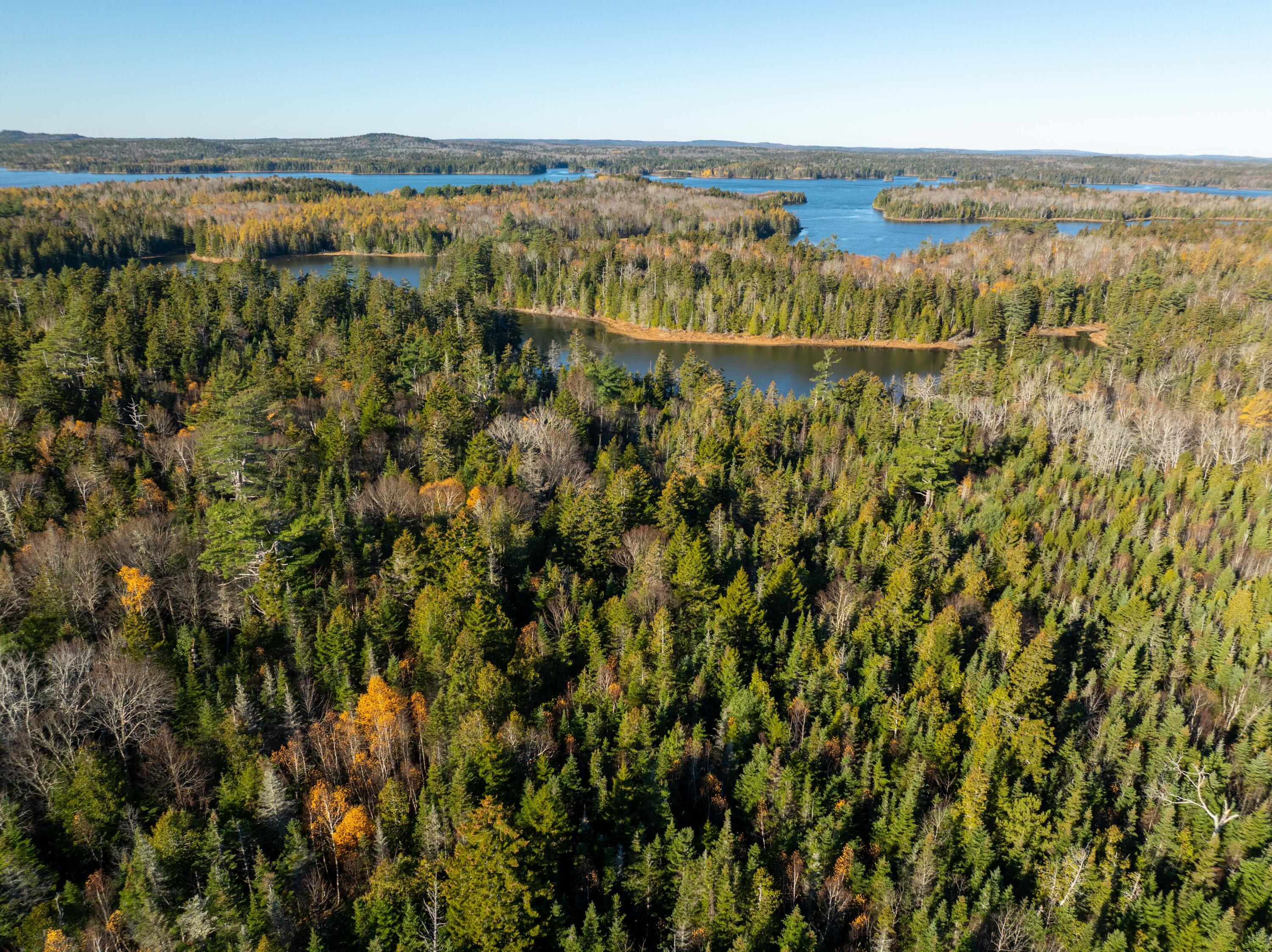 01-4 Wa035 Trescott Twp ME 04652