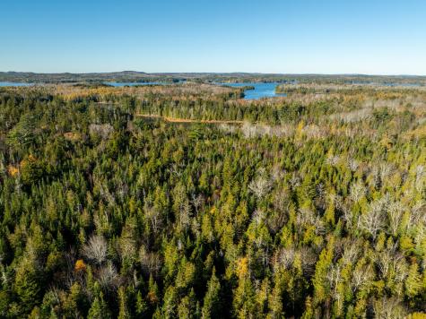 01-4 Wa035 Trescott Twp ME 04652