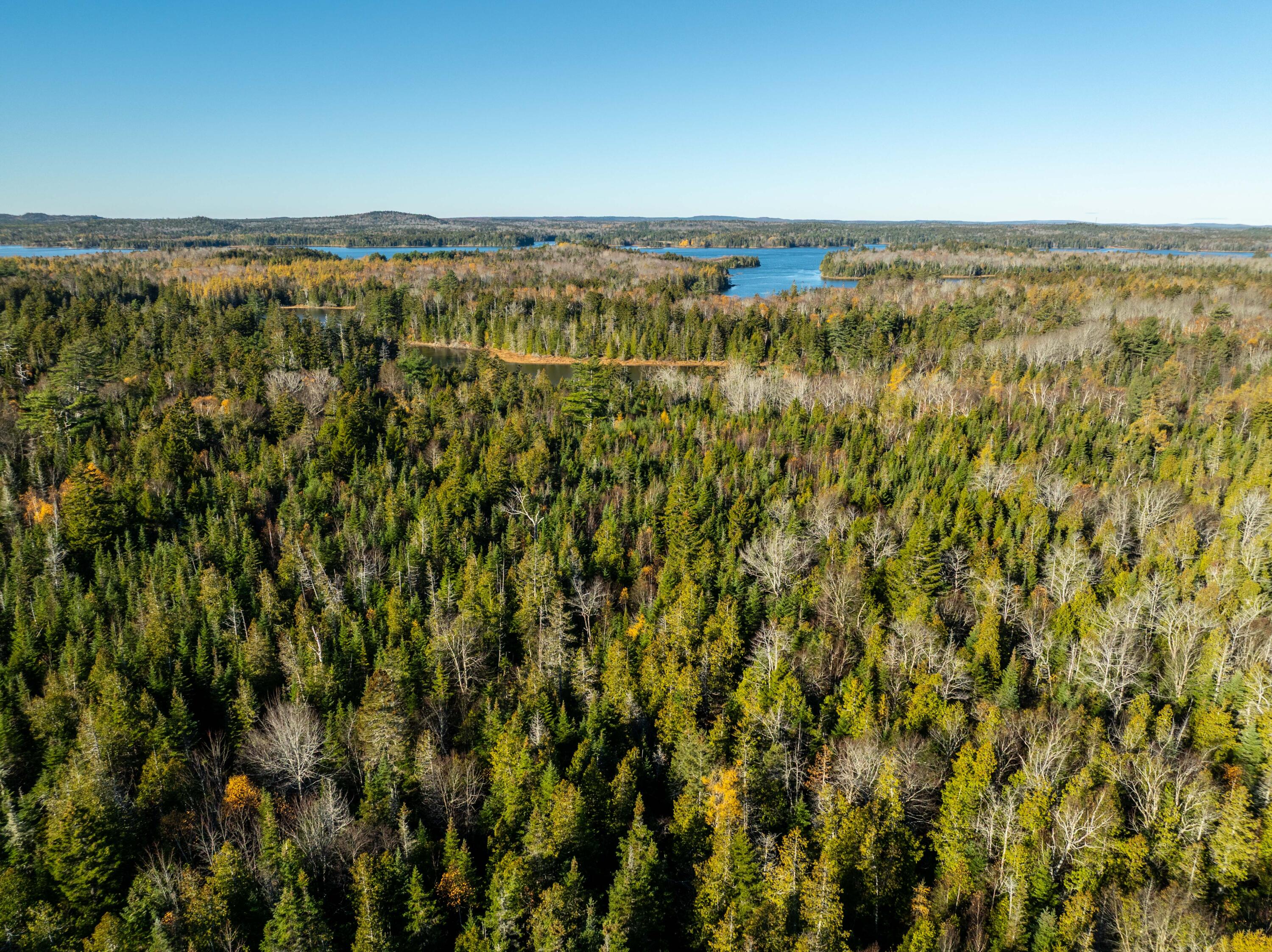 01-4 Wa035 Trescott Twp ME 04652