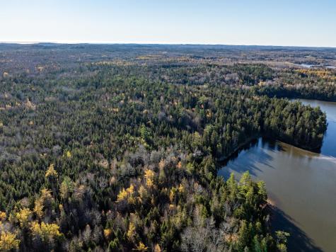 01-4 Wa035 Trescott Twp ME 04652