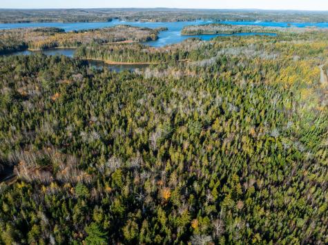 01-4 Wa035 Trescott Twp ME 04652