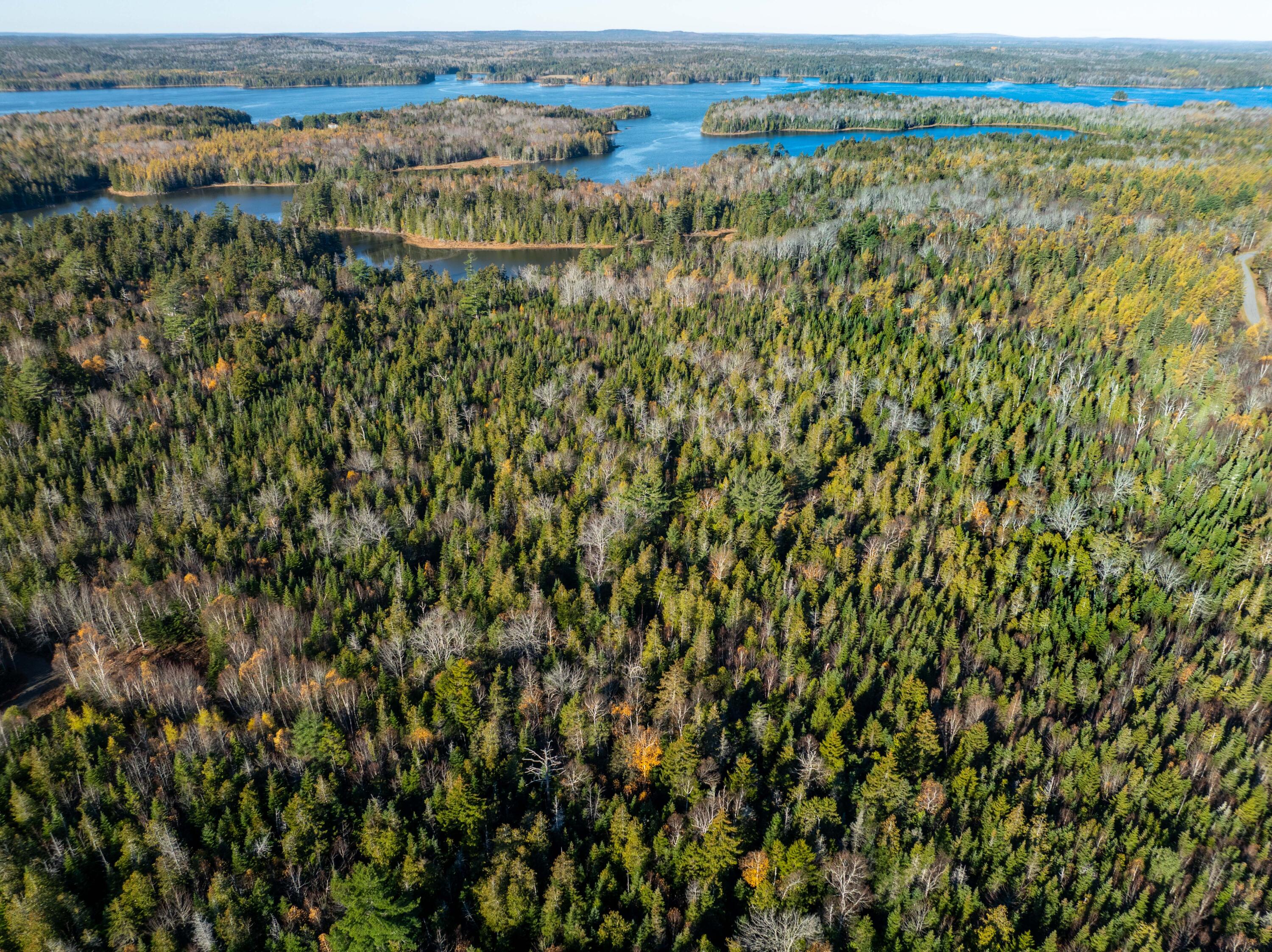 01-4 Wa035 Trescott Twp ME 04652