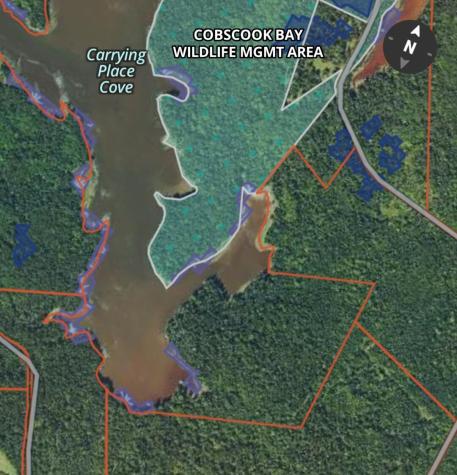 01-4 Wa035 Trescott Twp ME 04652