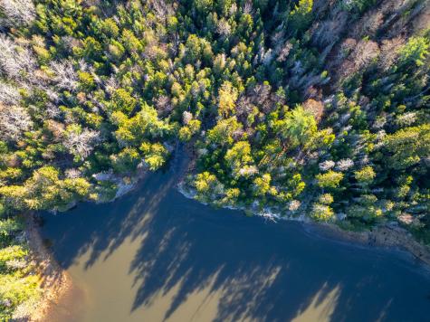 01-4 Wa035 Trescott Twp ME 04652