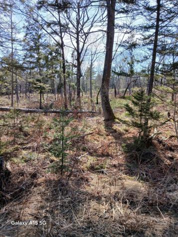 MAP10 L39b Christian Hill Road Bristol ME 04539