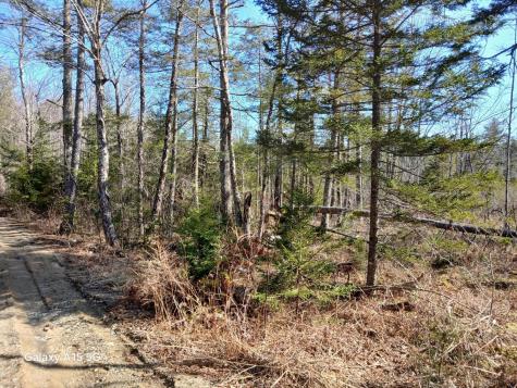 MAP10 L39b Christian Hill Road Bristol ME 04539