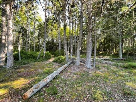 Lot # 15-2 Fort Williams Road Harrington ME 04643