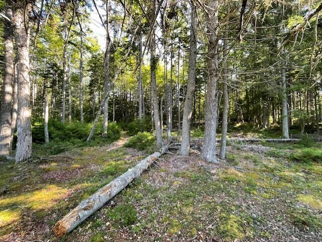 Lot # 15-2 Fort Williams Road Harrington ME 04643