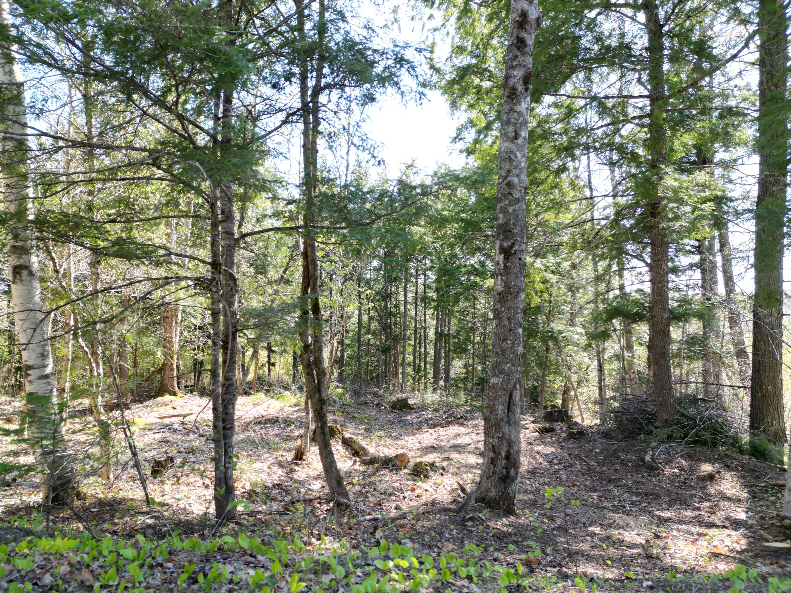 Tbd Bottle Lake Road Lakeville ME 04487