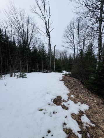 Lot 1 Margaret Lane Rangeley Plt ME 04970