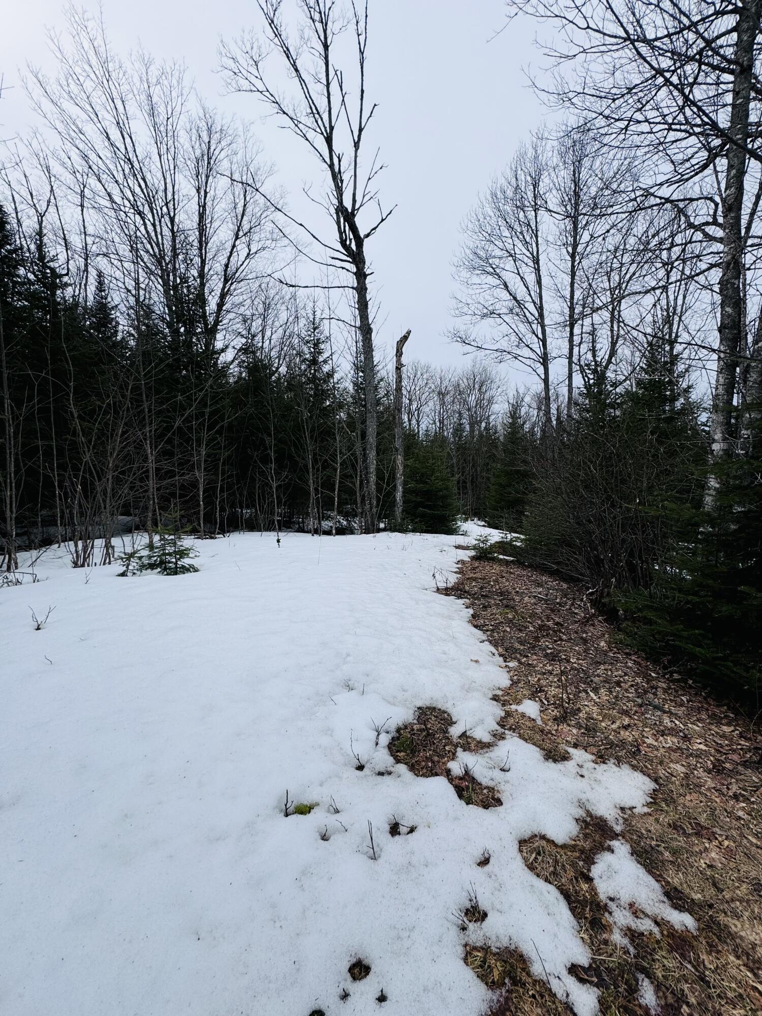 Lot 1 Margaret Lane Rangeley Plt ME 04970