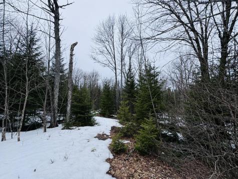 Lot 1 Margaret Lane Rangeley Plt ME 04970