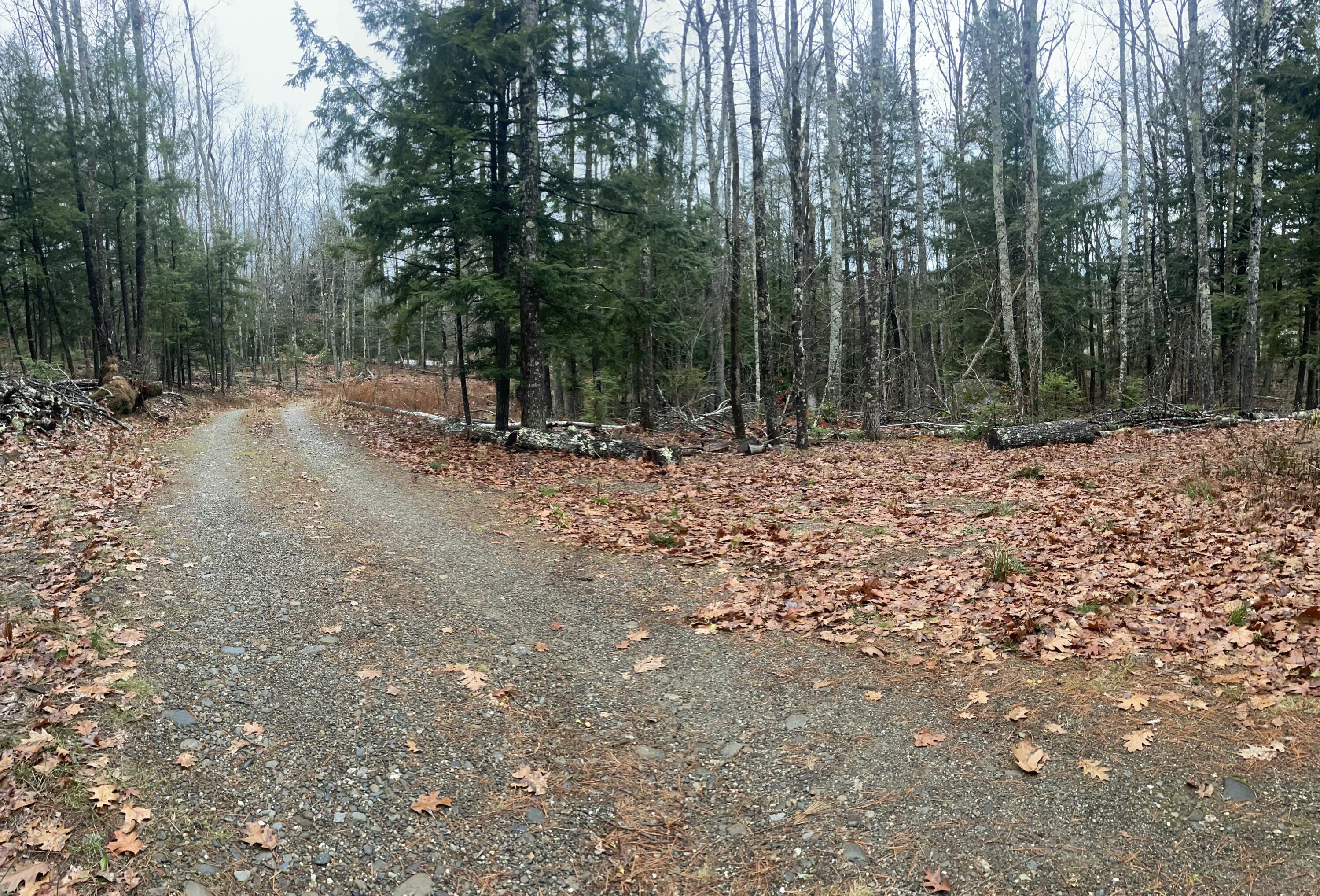 1651 Swan Lake Avenue Swanville ME 04915